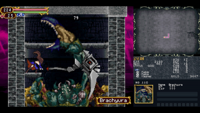 Castlevania Dominus Collection PC Screenshot